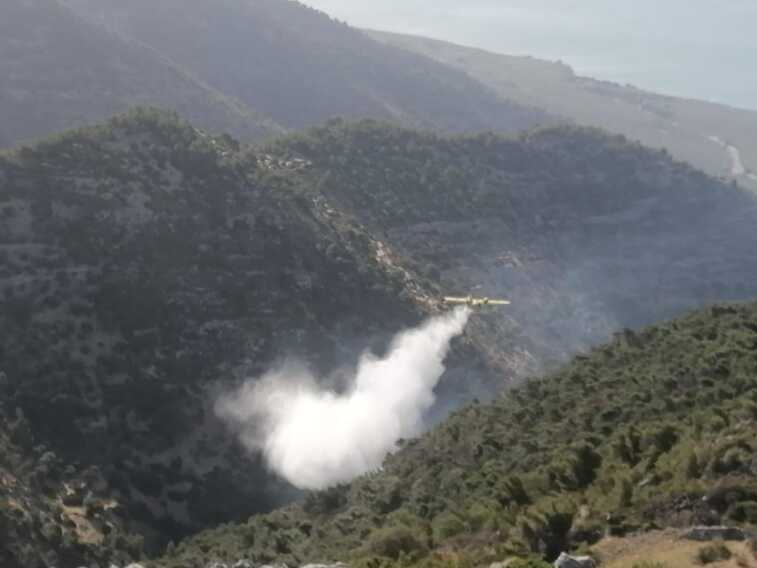 Caldo e incendi, fiamme ad Andria e sul Gargano