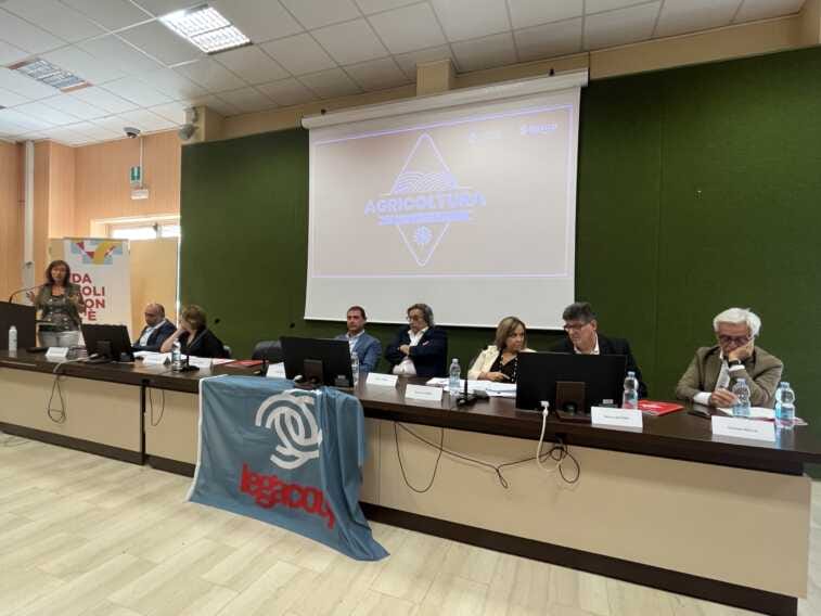 Galleria foto 'Agricoltura, dalla Puglia tre proposte alla politica nazionale sul lavoro sicuro' - foto 1