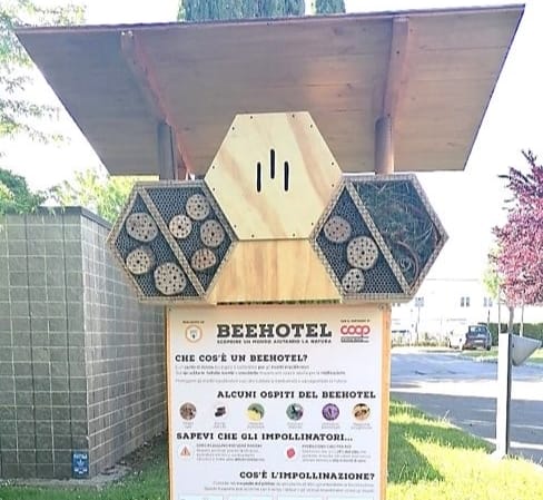 Andria, per “Ogni ape conta” arriva un BeeHotel nel Parco nazionale dell’Alta Murgia