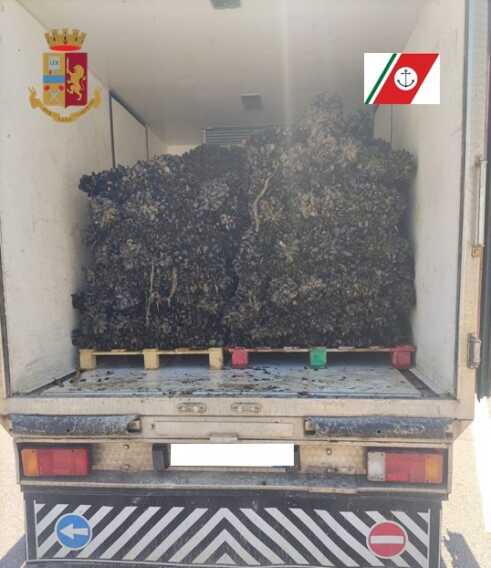 Taranto, cozze allevate in mare con diossina: sequestrate 2 tonnellate