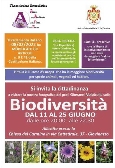 Flora e fauna nella mostra “Biodiversità”