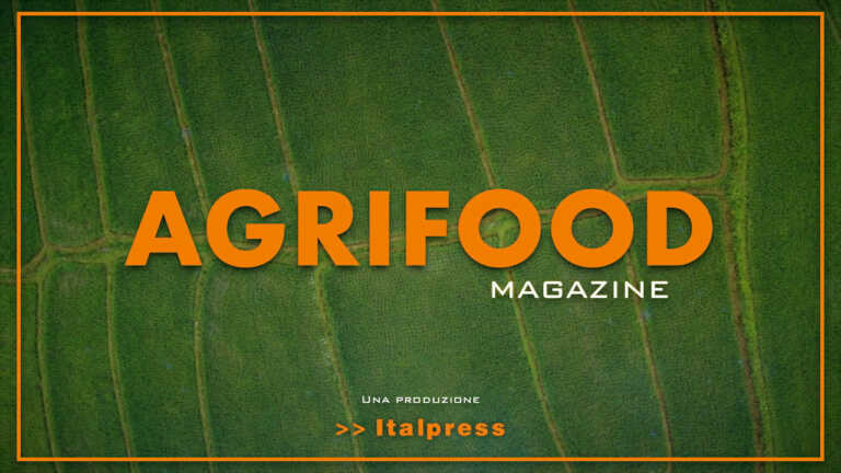 Agrifood Magazine – 1/6/2022