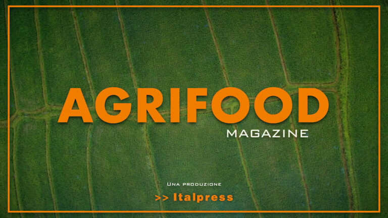 Agrifood Magazine – 11/5/2022