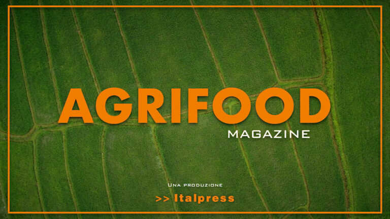 Agrifood Magazine – 15/6/2022