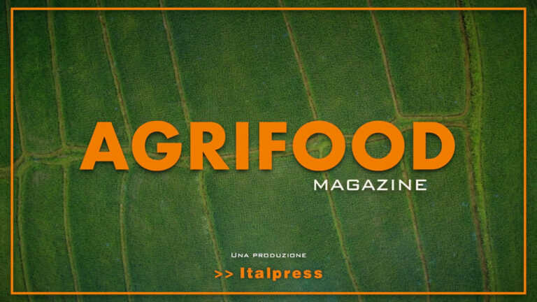 Agrifood Magazine – 4/5/2022
