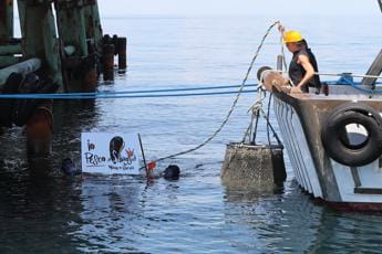 Galleria foto 'Ambiente, le piattaforme metanifere Eni rifugio per specie marine' - foto 1