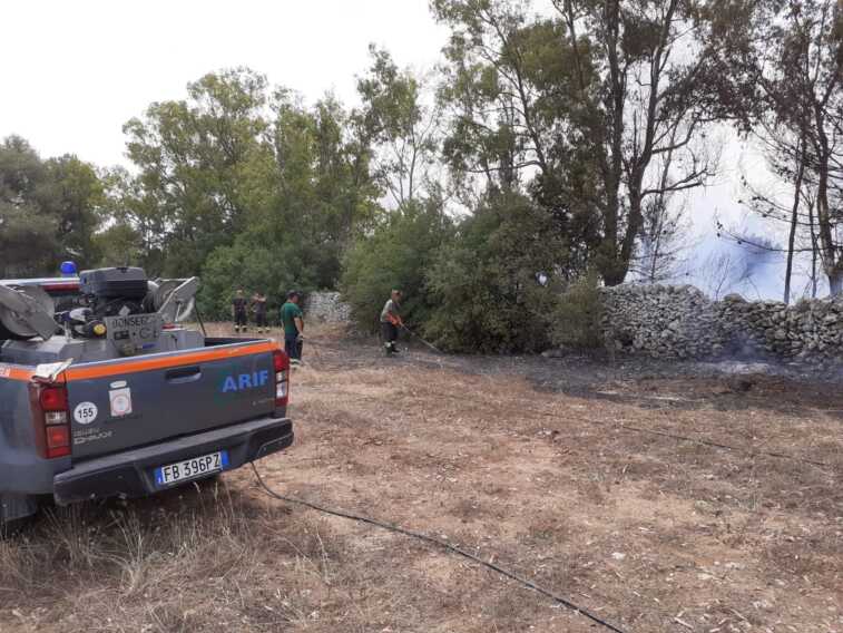 Carpignano Salentino, pineta brucia da oltre 24 ore. Sul posto Arif, vigili del fuoco e due canadair – VIDEO