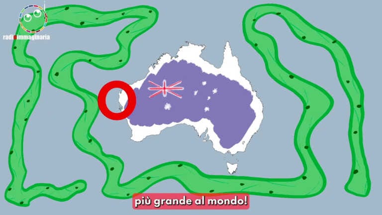 Galleria foto 'Australia, trovato l’organismo più grande del mondo' - foto 1