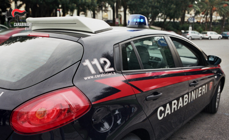 Violenza, truffe, droga: 6 arresti e decine di denunce nel Barese