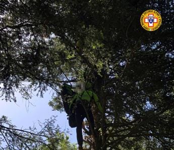 Galleria foto 'Col parapendio da Monte Calvanella ma precipita sugli alberi' - foto 1