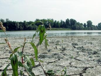 Finish in Puglia per contrastare la desertificazione
