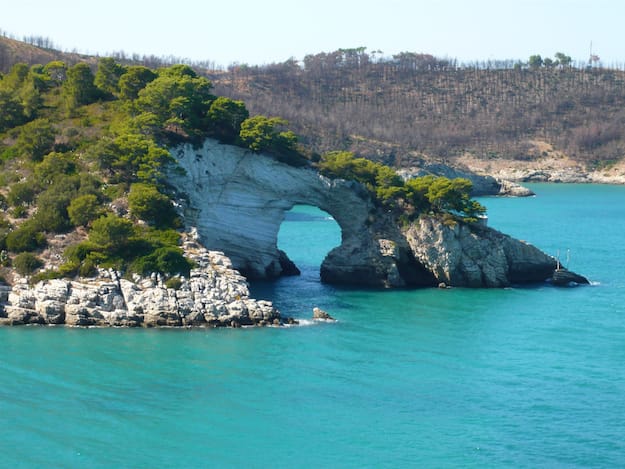 “Gargano easy to reach”: via ai collegamenti in bus dall’aeroporto di Bari