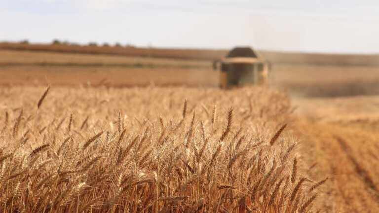 Un corridoio per il frumento bloccato nei silos ucraini: la prima intesa sul grano