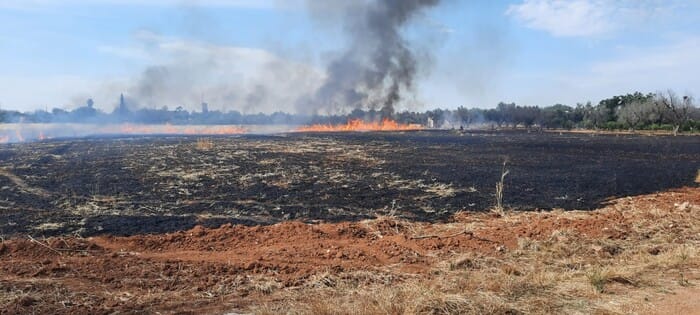 Incendi, in Puglia danni a campi di grano e frutteti. Coldiretti: «Nel 60% dei casi innescati volontariamente»