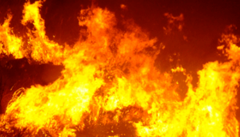 Il Salento brucia, ulivi mangiati dalle fiamme