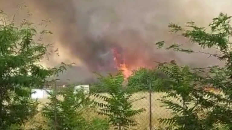 Galleria foto 'Incendio a Roma, case evacuate e intossicati' - foto 1