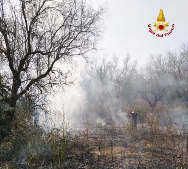 Galleria foto 'Allarme incendi nel Brindisino: diversi gli interventi dei vigili del fuoco – VIDEO' - foto 1