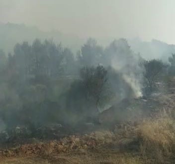 Ancora incendi in Puglia: a Castellaneta in fumo 10 ettari. In Salento brucia una discarica a cielo aperto