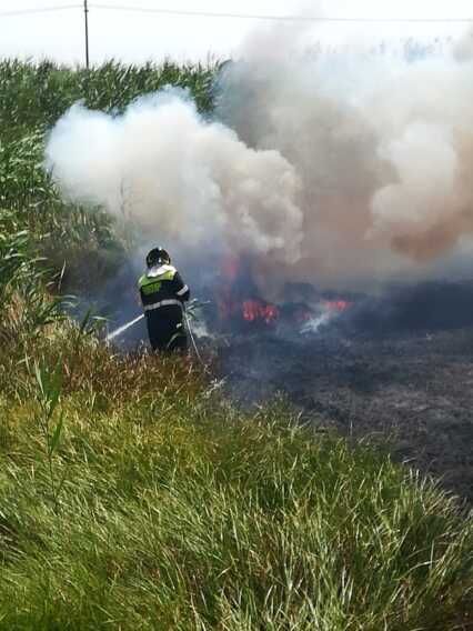 Brucia ancora il Gargano: in fiamme una vasta zona a sud del golfo di Manfredonia