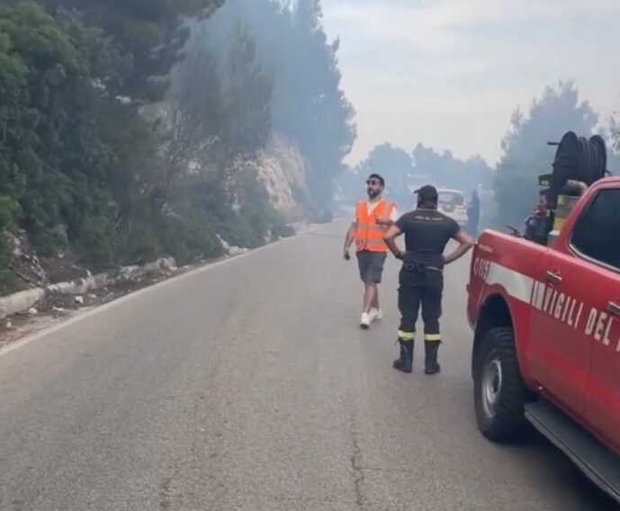 Brucia il Gargano: distrutti circa 20 ettari di area boschiva tra Mattinata e Vieste