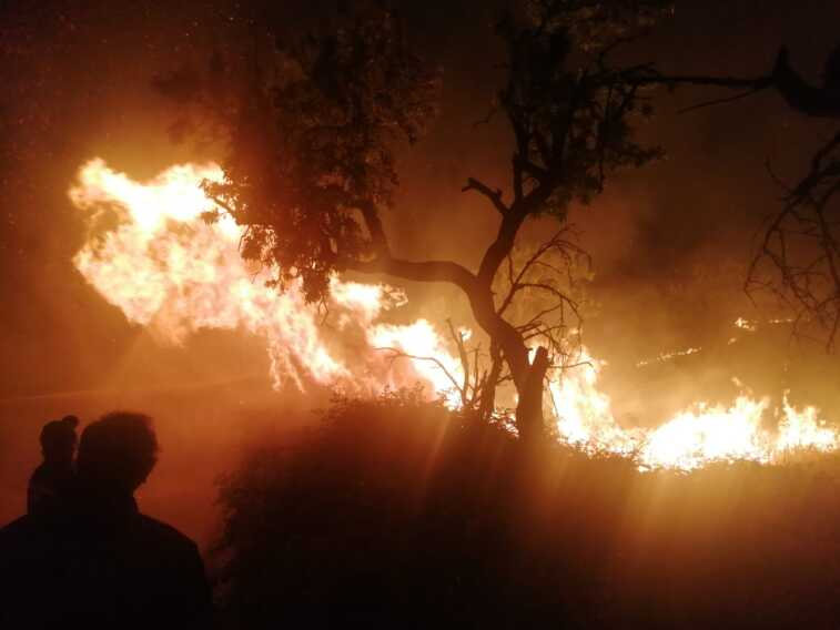 Incendi, è Lecce la provincia più colpita. In Puglia roghi aumentati del 56%