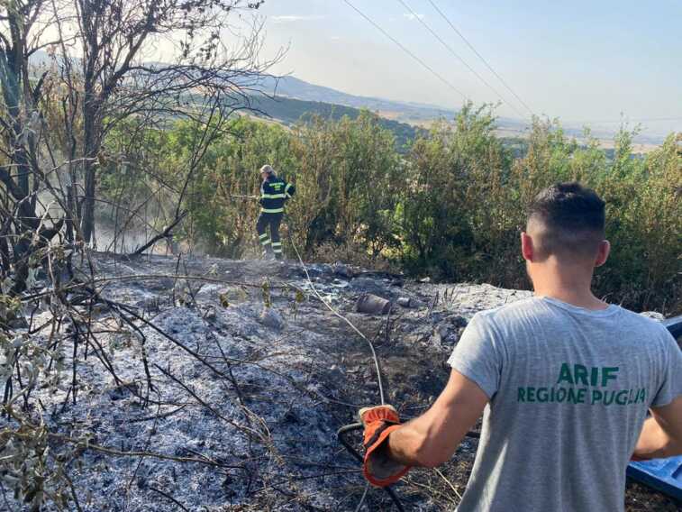 Minervino, dopo 40 ore di lavoro domato l’incendio. In fumo 300 ettari – VIDEO