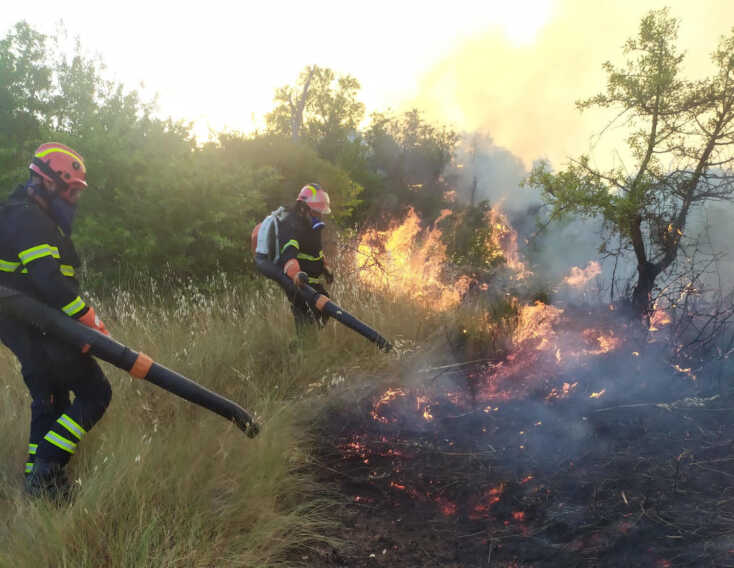 Continua a bruciare la Murgia: distrutti 150 ettari di pineta a Minervino – VIDEO