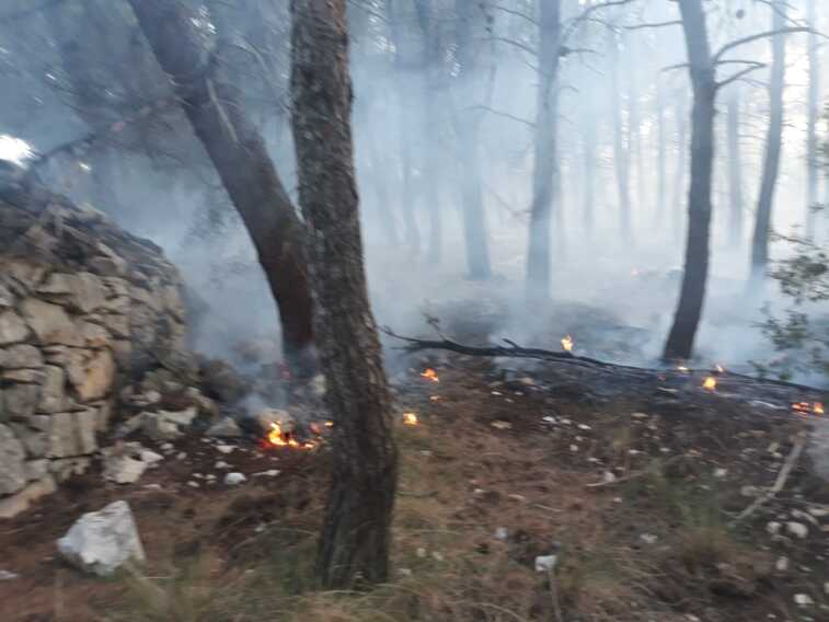 Incendio a Toritto, bruciano 40 ettari di terreni e boschi nel territorio di Quasano – VIDEO