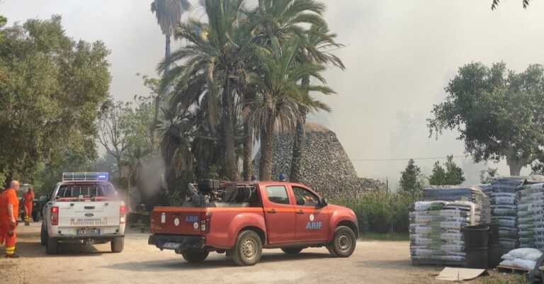 Galleria foto 'Vasto incendio a San Cataldo: 20 persone evacuate, distrutto un vivaio – VIDEO' - foto 1