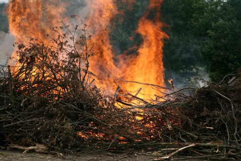 Galleria foto 'Ugento, appicca il fuoco alle sterpaglie ma viene avvolto dalle fiamme: morto un 80enne' - foto 1