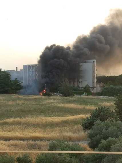 Galleria foto 'Foggia, incendio nel terreno di una struttura sanitaria: sarebbe doloso. Nessun ferito' - foto 1