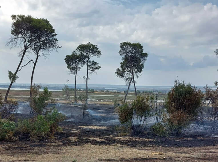Taranto, incendio distrugge due ettari della riserva regionale “Palude la Vela”