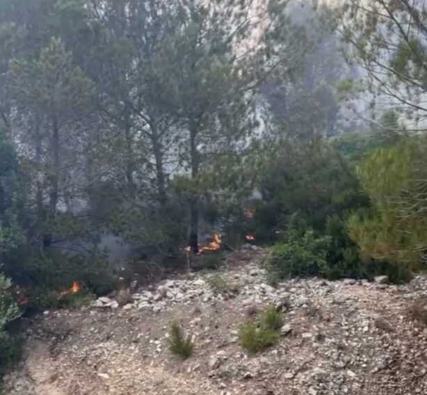 Fiamme sulla litoranea Mattinata-Vieste: in fumo circa 7 ettari di boschi