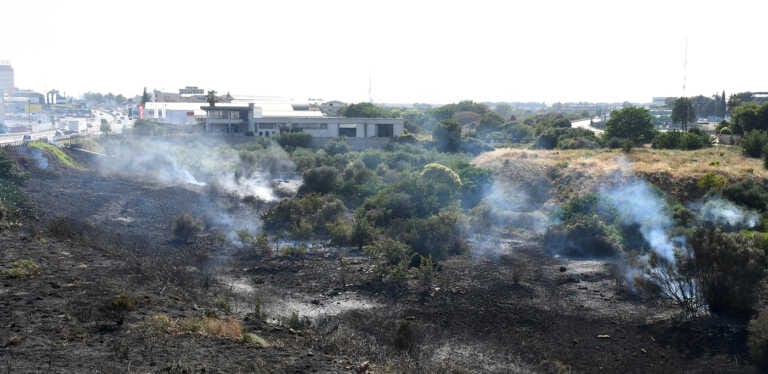Galleria foto 'Bari, a fuoco sterpaglie nella zona industriale: intervengono i vigili del fuoco' - foto 1