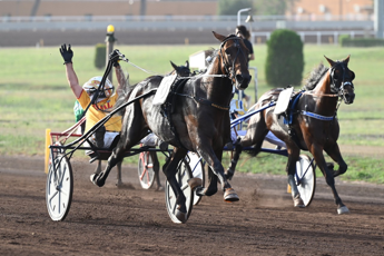 Galleria foto 'Ippica: trotto, domani a Capannelle triplo Gran Premio di fine stagione' - foto 1