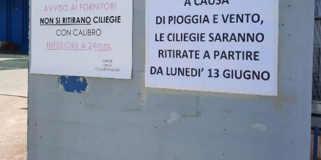 A Conversano arrivano gli chef stellati ma il mercato delle ciliegie è sospeso