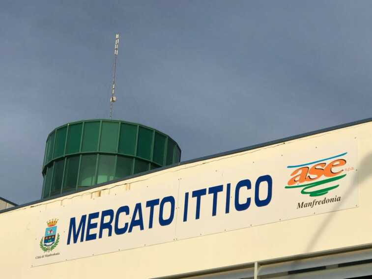 Il contabile del mercato ittico di Manfredonia può avere una pistola: «È esposto a pericolo»