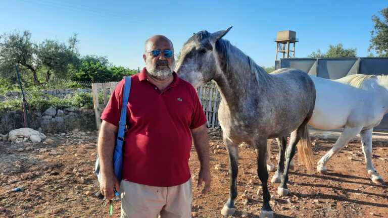 Francesco Minunni, allevatore di lipizzani “linea Conversano”: «La mia passione per un cavallo da re»