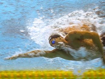 Galleria foto 'Mondiali nuoto, Paltrinieri oro e record europeo nei 1500 stile libero' - foto 1