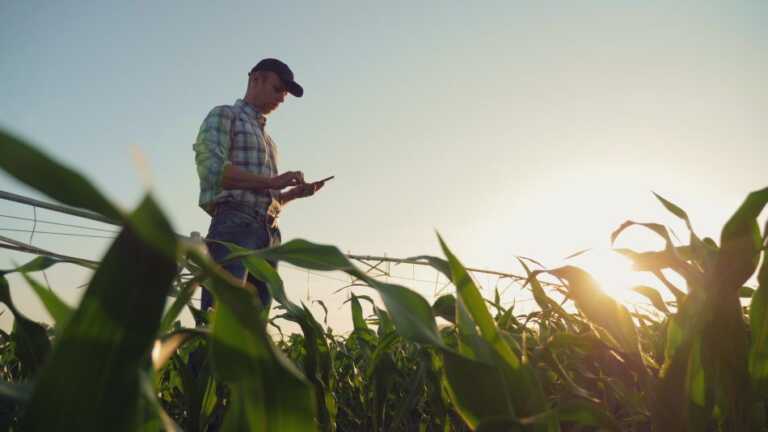 Nestlè, innovazione “trasforzativa” per rafforzare processi aziendali