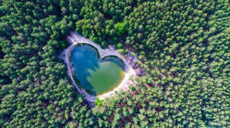 Sostenibilità ambientale, da VOIhotels nuova collaborazione con Treedom