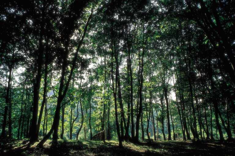 Siccità, il Parco del Gargano chiede alla Regione di dichiarare lo stato di calamità