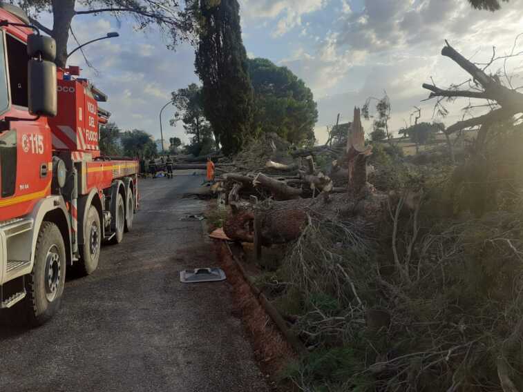 Alberi abbattuti da una tromba d’aria: provinciale 120 ancora chiusa al traffico