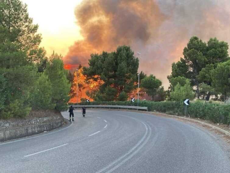 Galleria foto 'Pisticci: il fuoco si avvicina alle case. Evacuate 150 persone' - foto 1