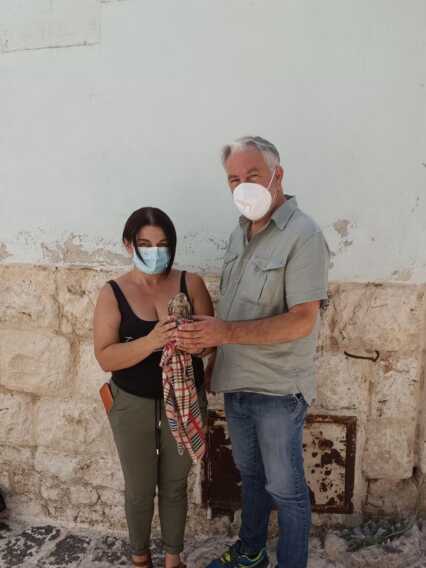 Il piccolo falco salvato dai residenti di Rutigliano