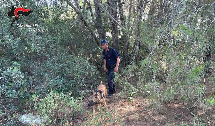 Cani avvelenati a Riva dei Tessali: arrivano le unità cinofile a caccia di esche