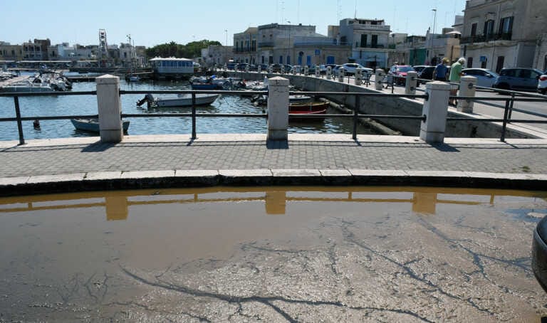 Galleria foto 'Bari, a Santo Spirito fogna intasata e liquami che invadono la strada – VIDEO' - foto 1