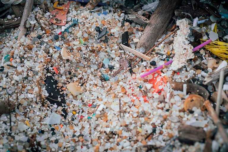 Inquinamento nelle spiagge pugliesi, la denuncia di Greenpeace Italia