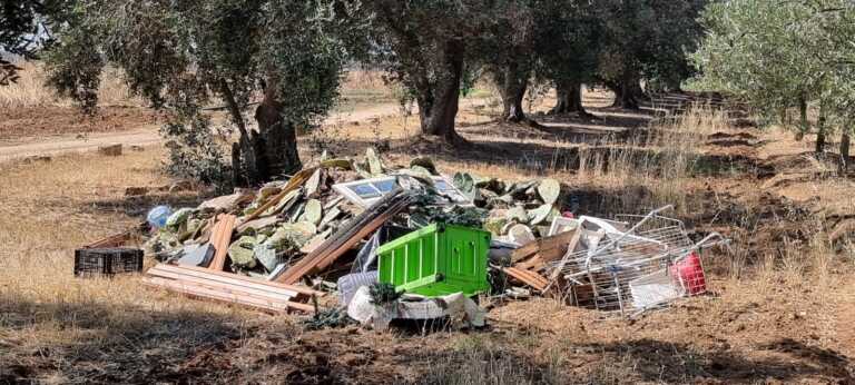 Campagne trasformate in discariche a cielo aperto: cresce il rischio incendi