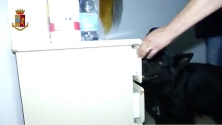Galleria foto 'Droga, prostituzione e riciclaggio, dieci arresti a Taranto' - foto 1